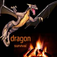 Dragon Survival : Spin the Dragon