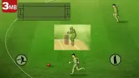 Cricket Championship 2019 - 3 MB Screen Shot 1