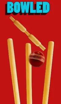 Cricket Ball Hit Screen Shot 12