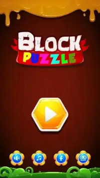 Block Hexa Puzzle Challenge Screen Shot 1