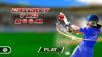 Cricket T20 Boom Screen Shot 5