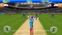 Cricket T20 Boom Screen Shot 1