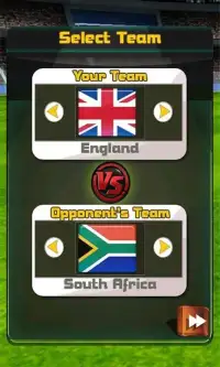 England Vs South Africa Cricket Game Screen Shot 5