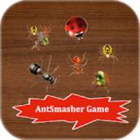 Ant Smasher New Game