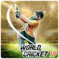World cricket - World Championship 2019