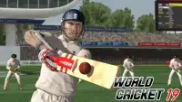 World cricket - World Championship 2019 Screen Shot 3