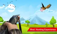 Bird Shooter - Hunting Shooting FREE Arcade Game Screen Shot 8