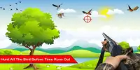 Bird Shooter - Hunting Shooting FREE Arcade Game Screen Shot 0