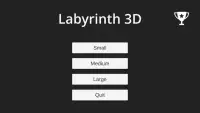 Labyrinth 3D Screen Shot 4