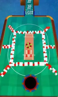 Color Cricket.IO- Hole 3D Screen Shot 9