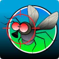 Fly Hunt / İngilizce Cümle Pratiği