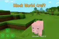 Block world craft Screen Shot 3
