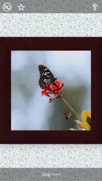Butterflies Puzzles - 101 pictures Screen Shot 11