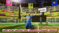 Cricket Career Screen Shot 11