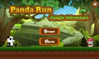 Panda Run - Jungle Adventure Screen Shot 5