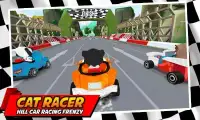 Cat Racer * Hill Car Racing Frenzy Screen Shot 4