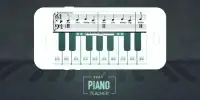 Learn Play Piano - Pianist Screen Shot 0