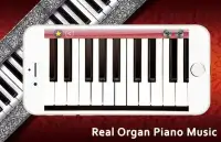 Real Organ Piano Music Screen Shot 4