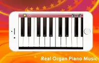 Real Organ Piano Music Screen Shot 3