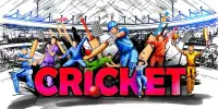Pakistan Cricket League 4th Season : T20 Cricket Screen Shot 0