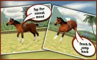 My Dancing Horse 3D Screen Shot 1