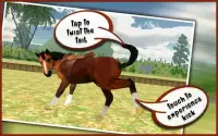 My Dancing Horse 3D Screen Shot 3