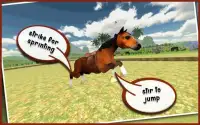 My Dancing Horse 3D Screen Shot 2