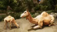 Ultimate Camel Simulator Screen Shot 3