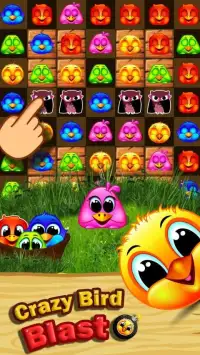 Crazy birds blast - match birds game Screen Shot 2