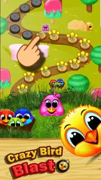 Crazy birds blast - match birds game Screen Shot 0