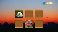 Match Pair Memory Game Screen Shot 1