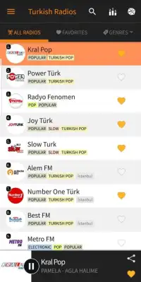Radyo Kulesi - Turkish Radios Screen Shot 15