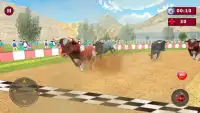 Angry Bull Racing Attack Screen Shot 0