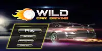 Wild Car driving Screen Shot 3