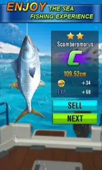 Thrilling Fish Hook World Champion 2019 Screen Shot 1