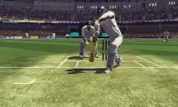 Cricket 2019 Screen Shot 3
