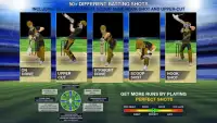 Cricket Multiplayer Screen Shot 7