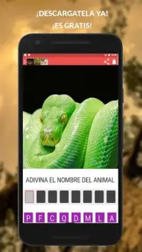 Animales – Aprende Los Mamiferos y Aves Screen Shot 3