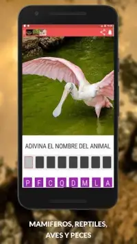 Animales – Aprende Los Mamiferos y Aves Screen Shot 0