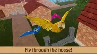 Birdy Pet - Parrot Life Simulator Screen Shot 3