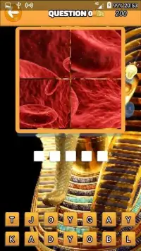 1 Pics 1 Word Game LCNZ 10 Plagues of Egypt Game Screen Shot 3