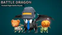Battle Dragon - Fireball Flight Battle Royale Screen Shot 15