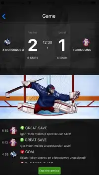 Virtual League of Hockey Screen Shot 5