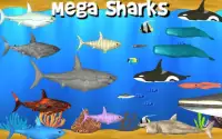 Mega Sharks: Shark Games Screen Shot 7