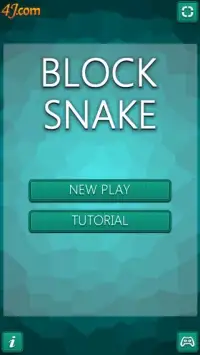 Block Snake Screen Shot 4