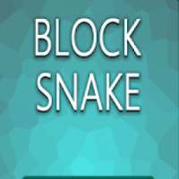 Block Snake