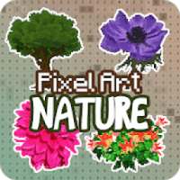 Color by number - Nature Pixel Art