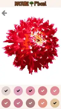 Color by number - Nature Pixel Art Screen Shot 0