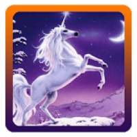 Unicorn Dash Adventure