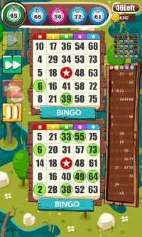 Bingo Bonus Frenzy - Offline Bingo Screen Shot 19